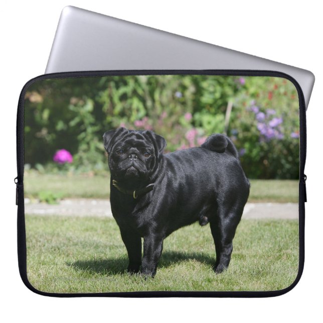 Black Pug Standing Looking at Camera Laptop Sleeve (Front)