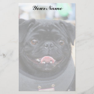 Black Pug Stationary Stationery