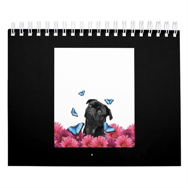 Black Pug With Blue Butterflies And Gerberas Calendar (Cover)