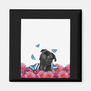 Black Pug With Blue Butterflies And Gerberas Magnet