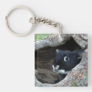 Black Rabbit in Hollow of a Tree Photo Key Ring