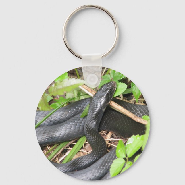 Black Racer Snake Sunning Key Ring (Front)