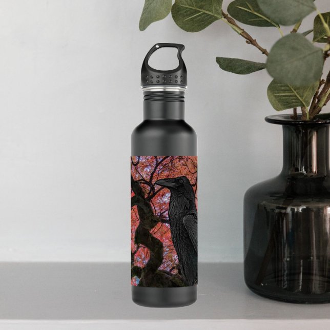 Black Raven and Gnarly Japanese Maple Tree 710 Ml Water Bottle (In Situ)