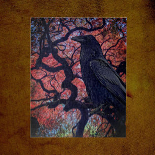 Black Raven and Gnarly Japanese Maple Tree Jigsaw Puzzle