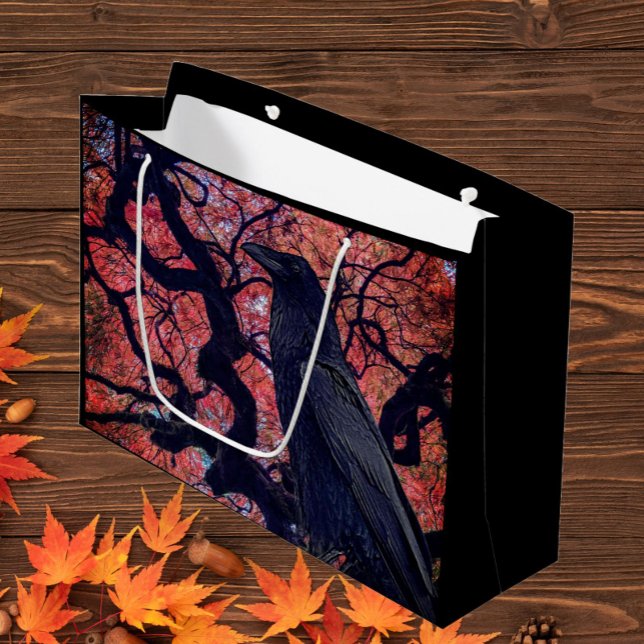 Black Raven and Gnarly Japanese Maple Tree Medium Large Gift Bag (In Situ)