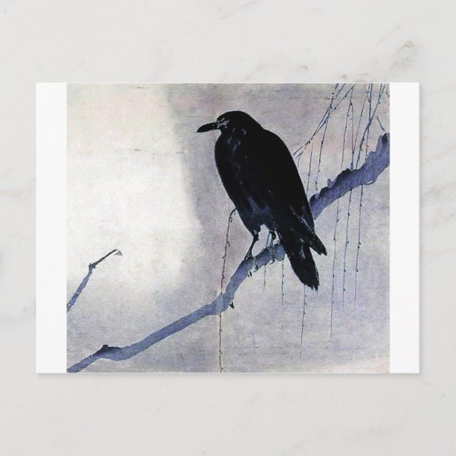 Black Raven Bird Postcard (Front)
