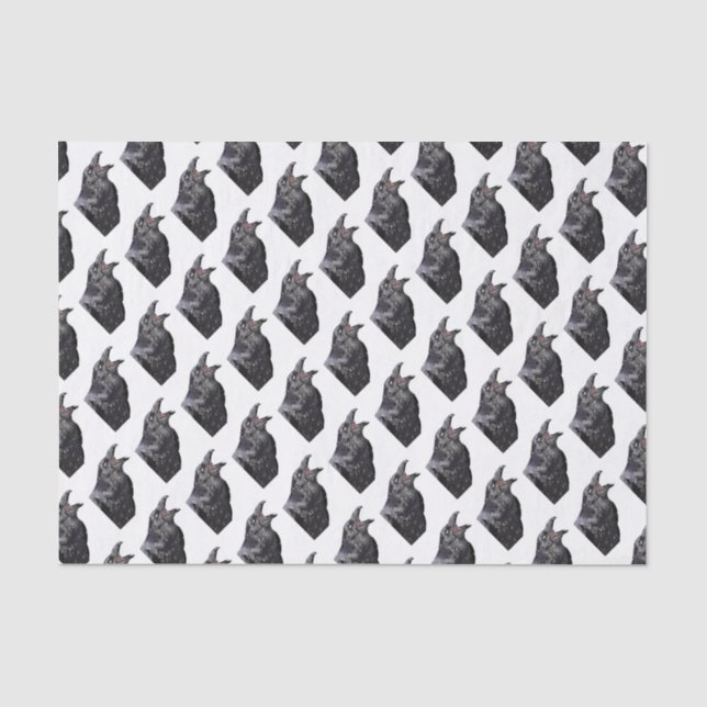 Black Raven Calling Tissue Paper (Front)