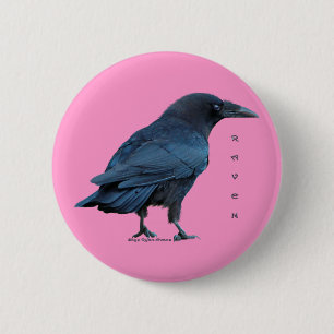Black Raven Collection III 6 Cm Round Badge