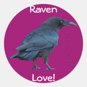 Black Raven Collection III Classic Round Sticker