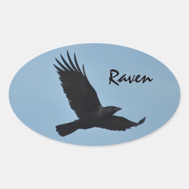 Black Raven Flying in Blue Sky Photo Oval Sticker (Front)