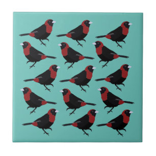 Black Red Crimson-Collared Tanager Songbird Ceramic Tile