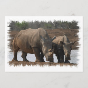 Black Rhino Invitation