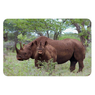 Black Rhino with Calf Magnet