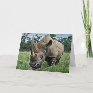 Black Rhinoceros Kenya Card