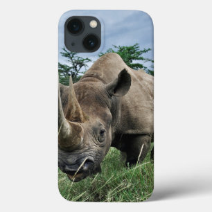 Black Rhinoceros   Kenya iPhone 13 Case