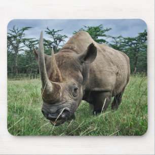 Black Rhinoceros   Kenya Mouse Pad