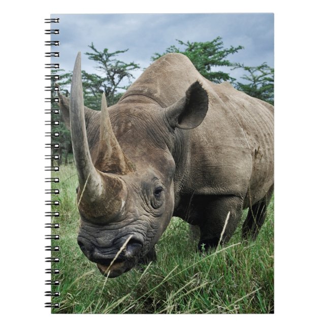 Black Rhinoceros | Kenya Notebook (Front)