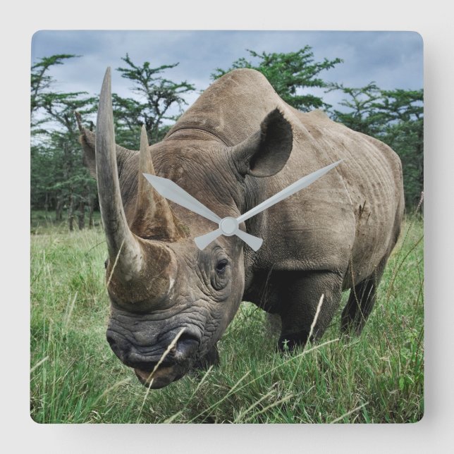 Black Rhinoceros | Kenya Square Wall Clock (Front)