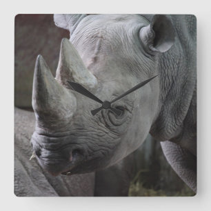 Black Rhinoceros Photo Square Wall Clock