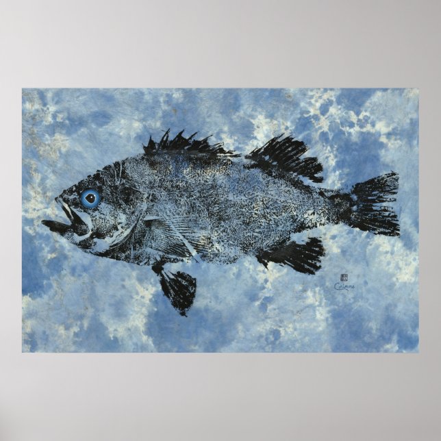 Black Rockfish On Blue - 36" x 24" Poster (Front)