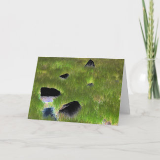"Black Rocks" Digitally Transformed Stones / Field Card