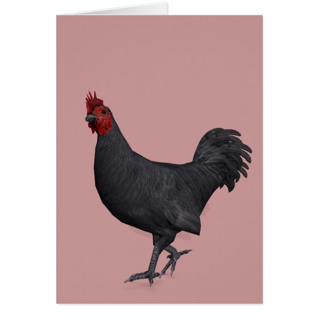 Black Rooster (Front)