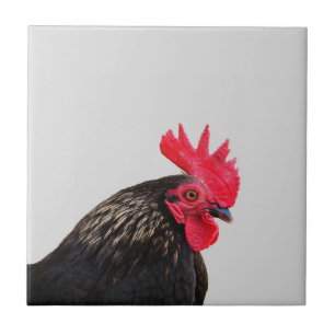 Black Rooster Ceramic Tile