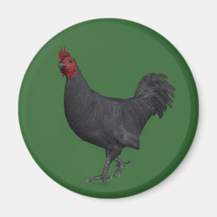 Black Rooster Magnet