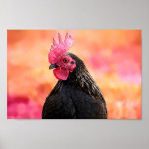 Black Rooster Poster