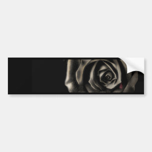 Black rose bumper sticker