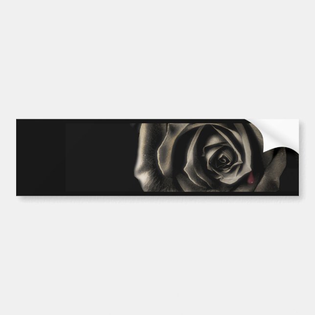 Black rose bumper sticker (Front)