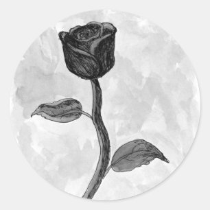 Black Rose. Classic Round Sticker