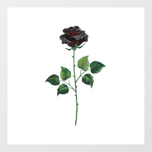 Black rose flower