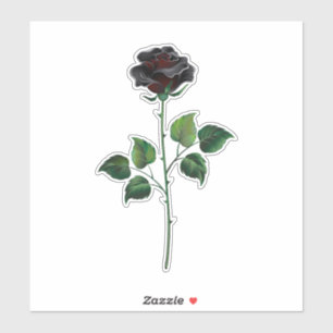 Black rose flower