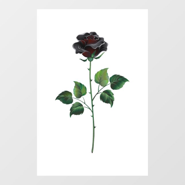 Black rose flower (Sheet)