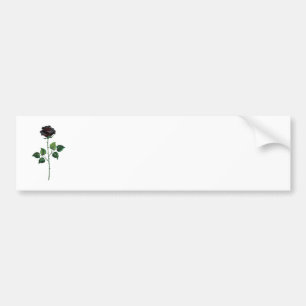 Black rose flower bumper sticker