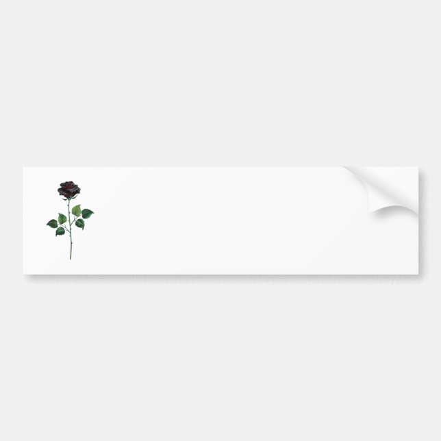 Black rose flower bumper sticker (Front)