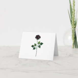 Black rose flower card