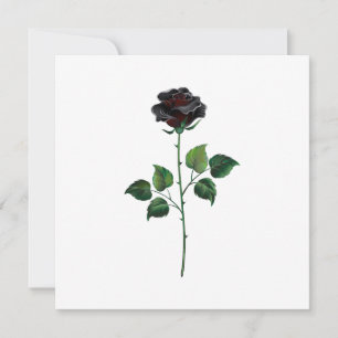 Black rose flower card