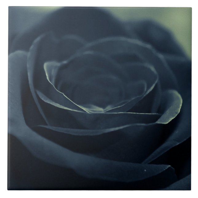 Black Rose Flower Dark Gothic Vibe Ceramic Tile (Front)