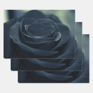 Black Rose Flower Dark Gothic Vibe Wrapping Paper Sheet