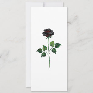 Black rose flower holiday card