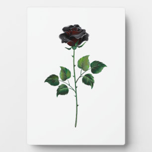 Black rose flower plaque