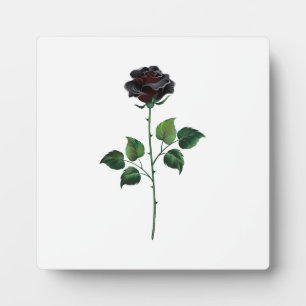 Black rose flower plaque
