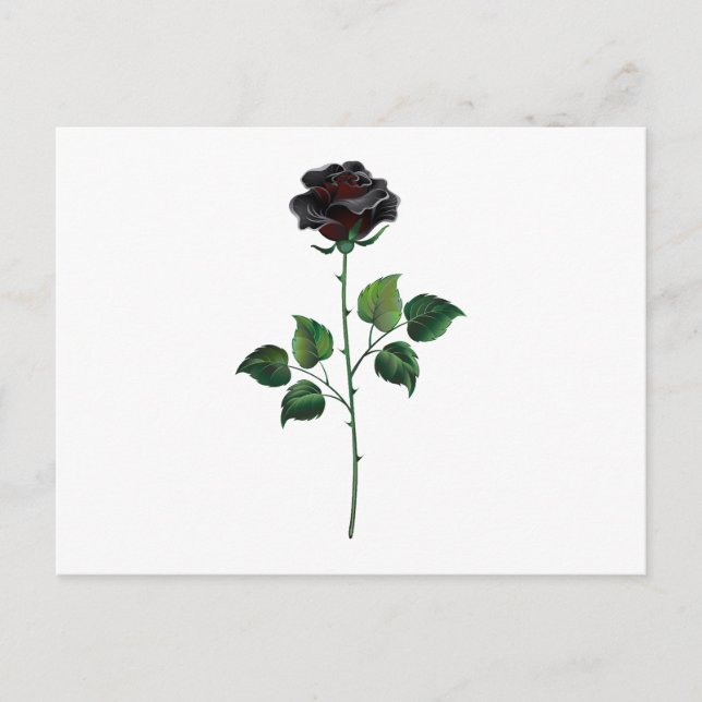 Black rose flower postcard (Front)