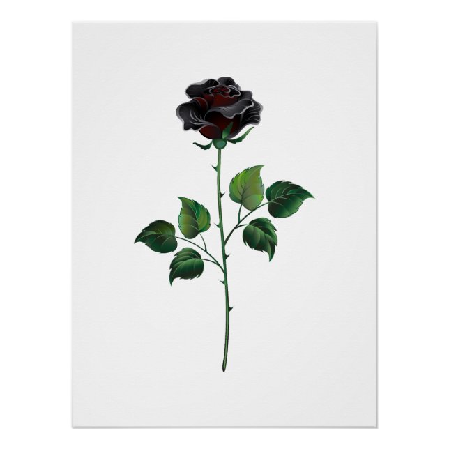 Black rose flower poster (Front)