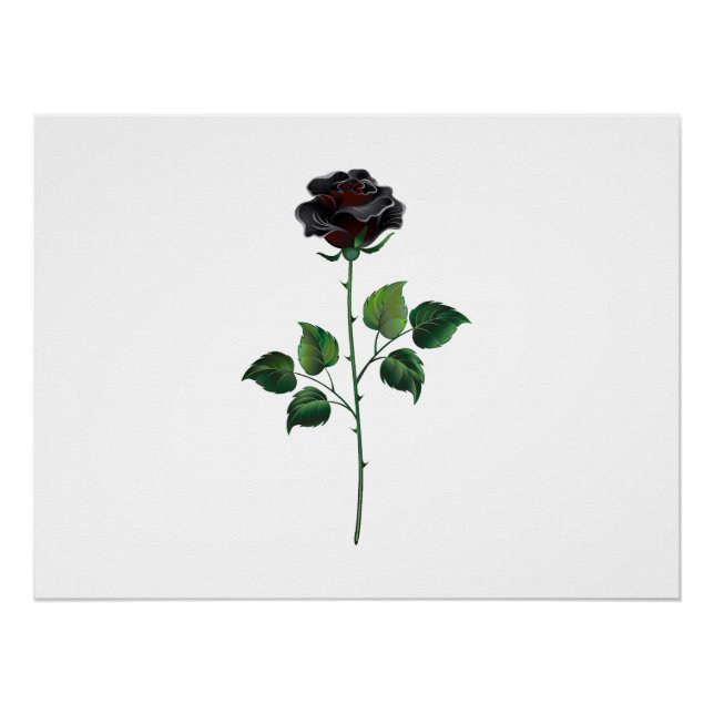 Black rose flower poster (Front)