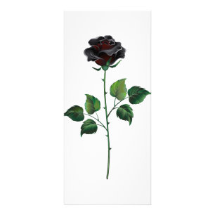 Black rose flower rack card