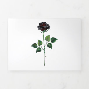 Black rose flower Tri-Fold holiday card