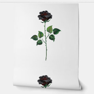 Black rose flower wallpaper